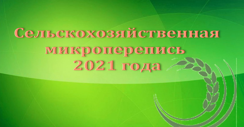 Первое заседание областной комиссии по подготовке к проведению сельскохозяйственной микропереписи 2021 года