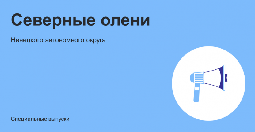 Северные олени Ненецкого автономного округа